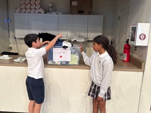 5- Bag Drive Collection